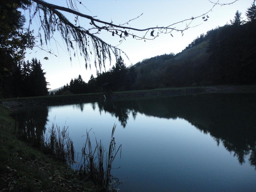 Ubytovanie Marina Banská Štiavnica Exteriör bild